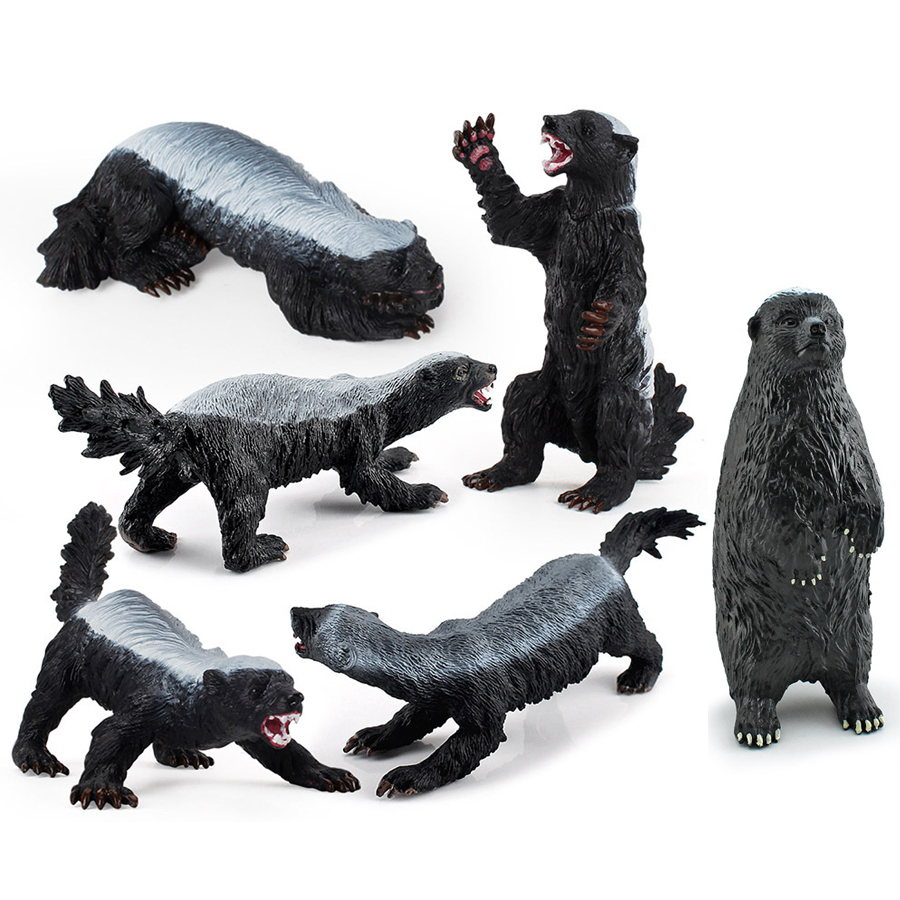 Kids Education Picture - Modello Realistico di Mardusa, Figurine di