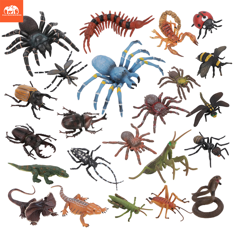Kids Education Picture - Set di Action Figure Educative di