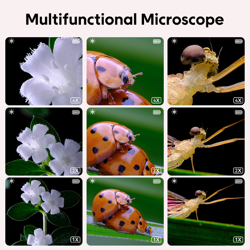 Mini microscopio digitale Lent - Kids Definition Of Education recensione e prezzo