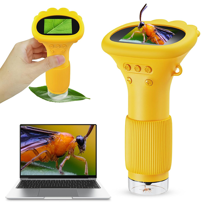 Microscopio Digitale Portatile - Kids Definition Of Education recensione e prezzo