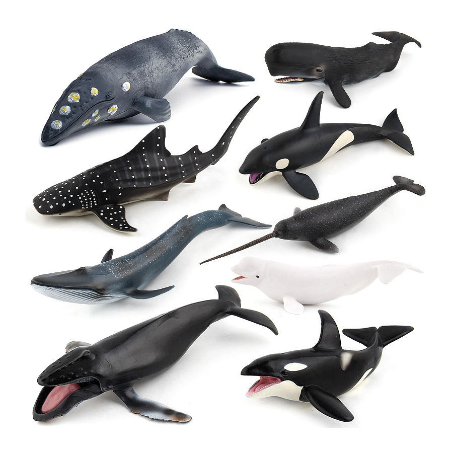 Modelli Realistici di Animali  - Kids Educational Resources recensione e prezzo