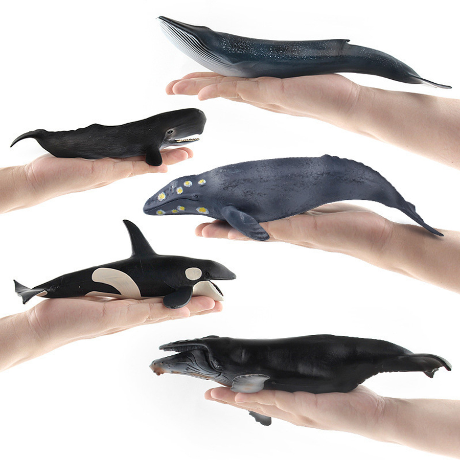 Modelli Realistici di Animali  - Kids Educational Resources recensione e prezzo