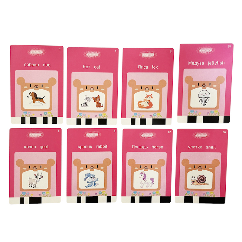 Inglese russo che prende le ca - Flash Card Alphabet recensione e prezzo