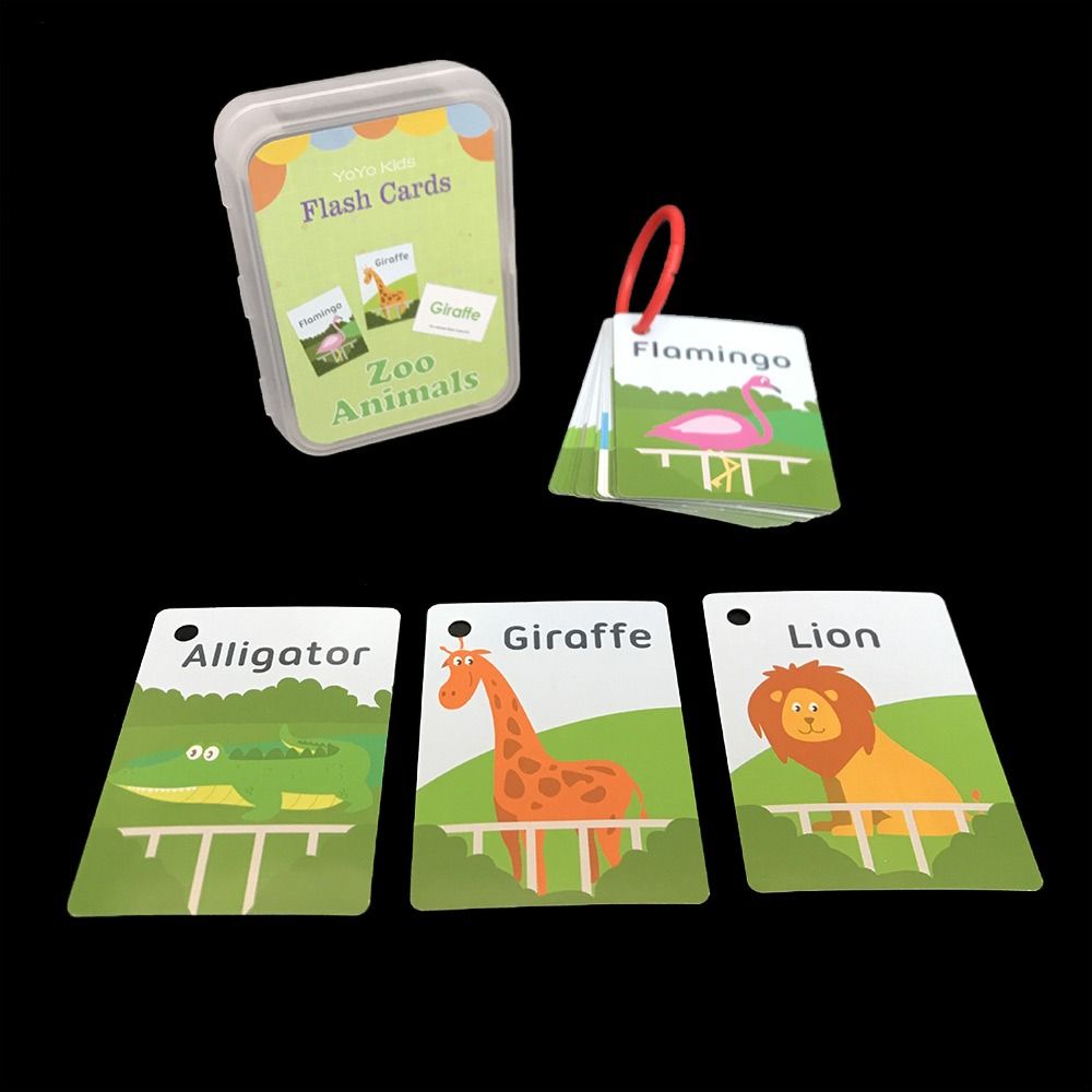 Carte Educative Interattive co - Flash Card Alphabet recensione e prezzo