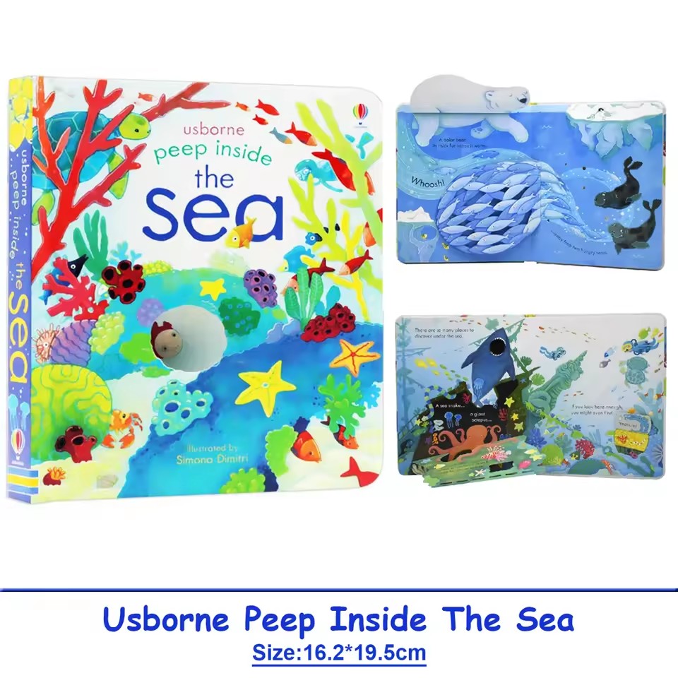 Libri educativi in inglese per - Kids Education Picture recensione e prezzo