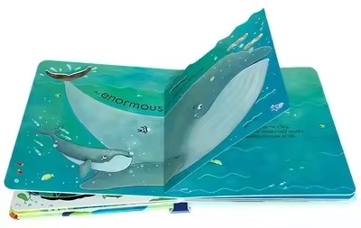 Libri educativi in inglese per - Kids Education Picture recensione e prezzo