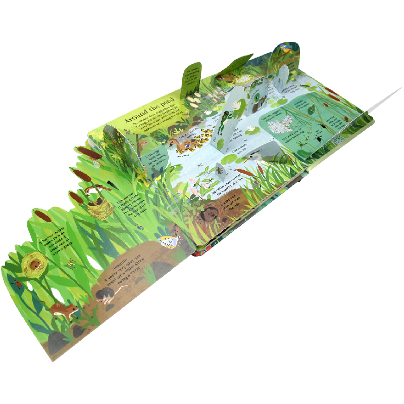 Inglese Montessori 3D Usborne  - Kids Education Picture recensione e prezzo
